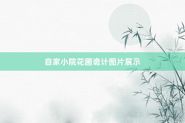 自家小院花圃诡计图片展示