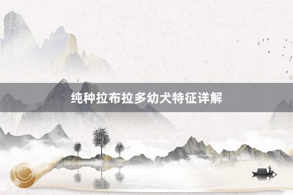 纯种拉布拉多幼犬特征详解