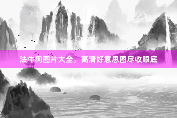 法牛狗图片大全，高清好意思图尽收眼底