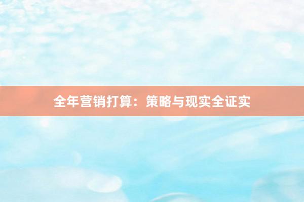 全年营销打算：策略与现实全证实